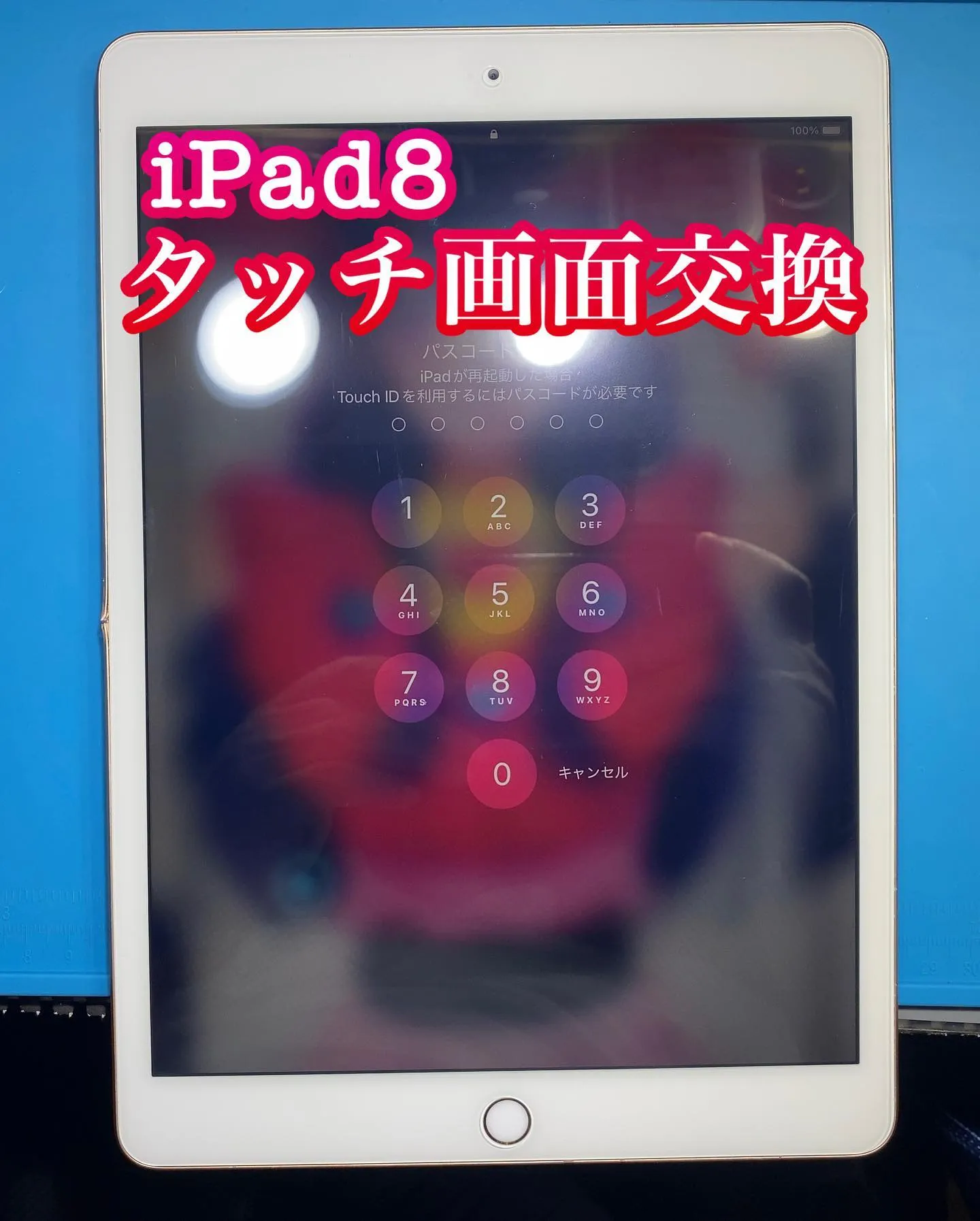 宮崎、名古屋iPhone iPad修理PhoneDoctor