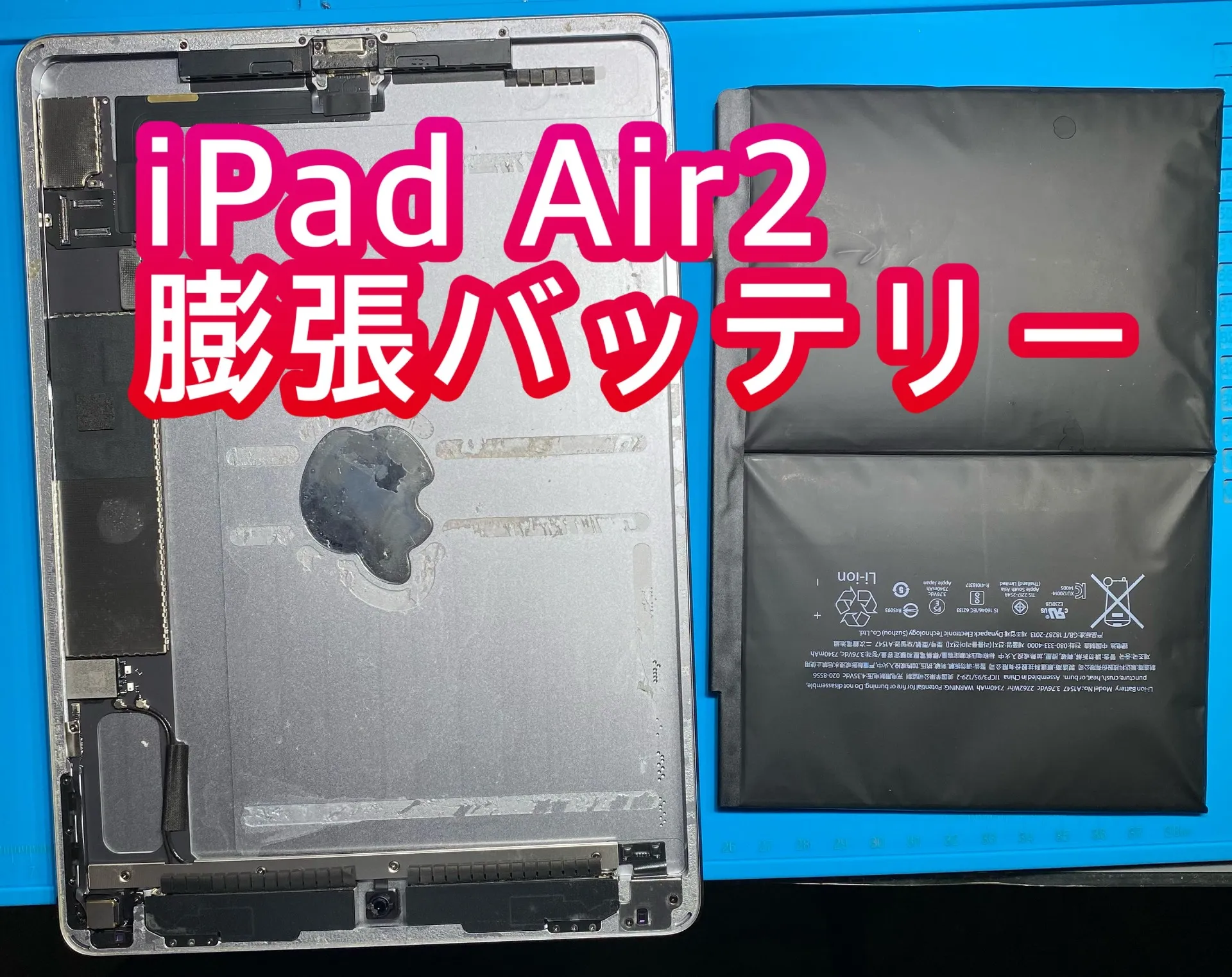 iPhone・iPad修理フォンドクターグループ　宮崎店、名古屋駅前店、愛知知立店、魚津店、敦賀店、大阪門真店、岐阜土岐店