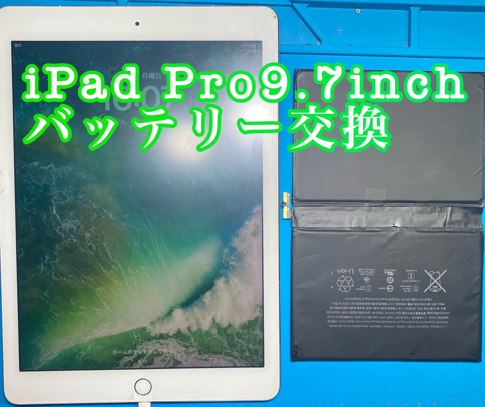 iPhone・iPad修理フォンドクターグループ　宮崎店、名古屋駅前店、愛知知立店、魚津店、敦賀店、大阪門真店、岐阜土岐店