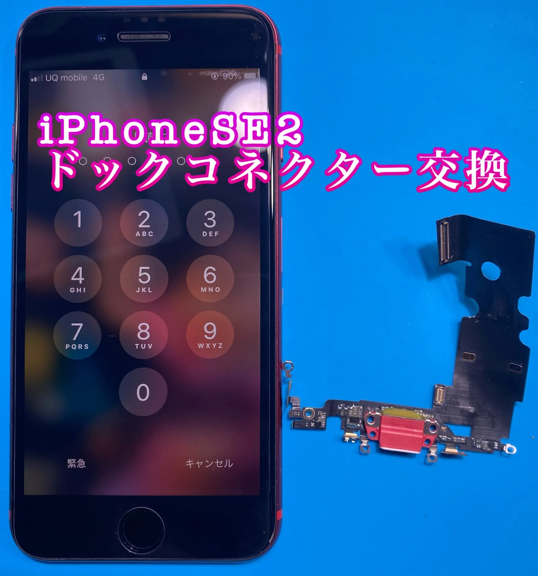 iPhone・iPad修理フォンドクターグループ　宮崎店、名古屋駅前店、愛知知立店、魚津店、敦賀店、大阪門真店、岐阜土岐店