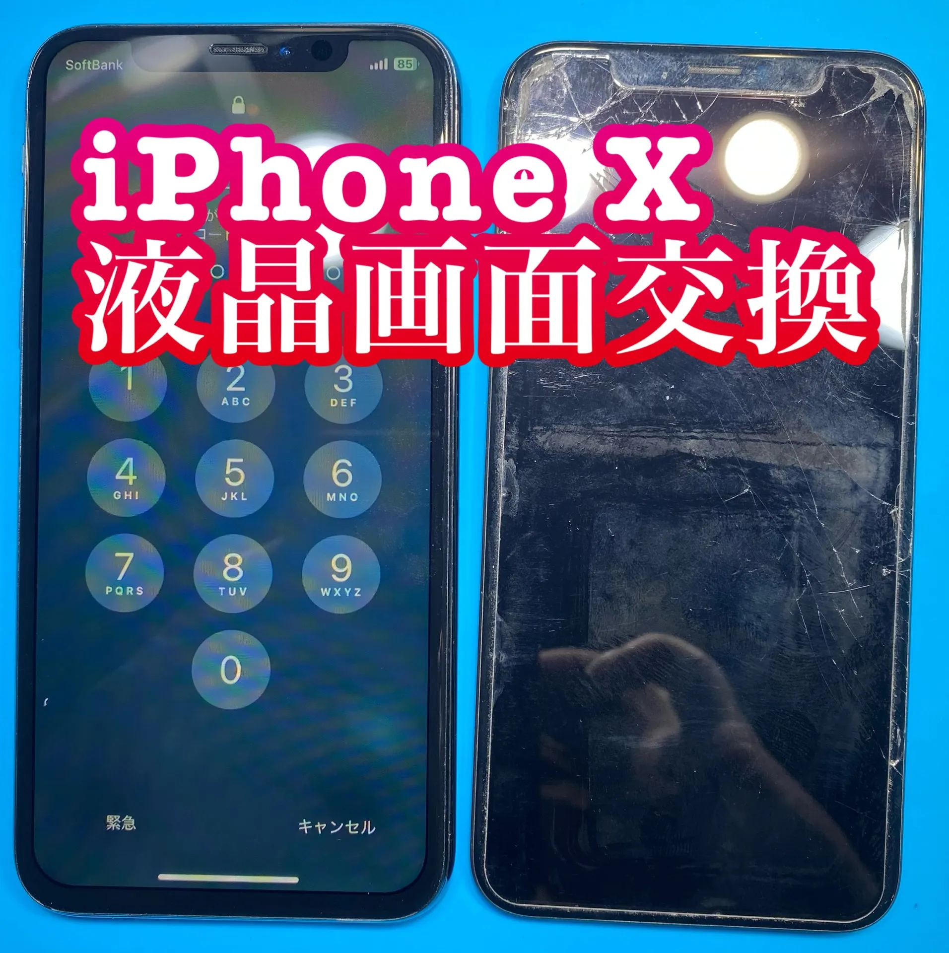 iPhone・iPad修理フォンドクターグループ　宮崎店、名古屋駅前店、愛知知立店、魚津店、敦賀店、大阪門真店、岐阜土岐店