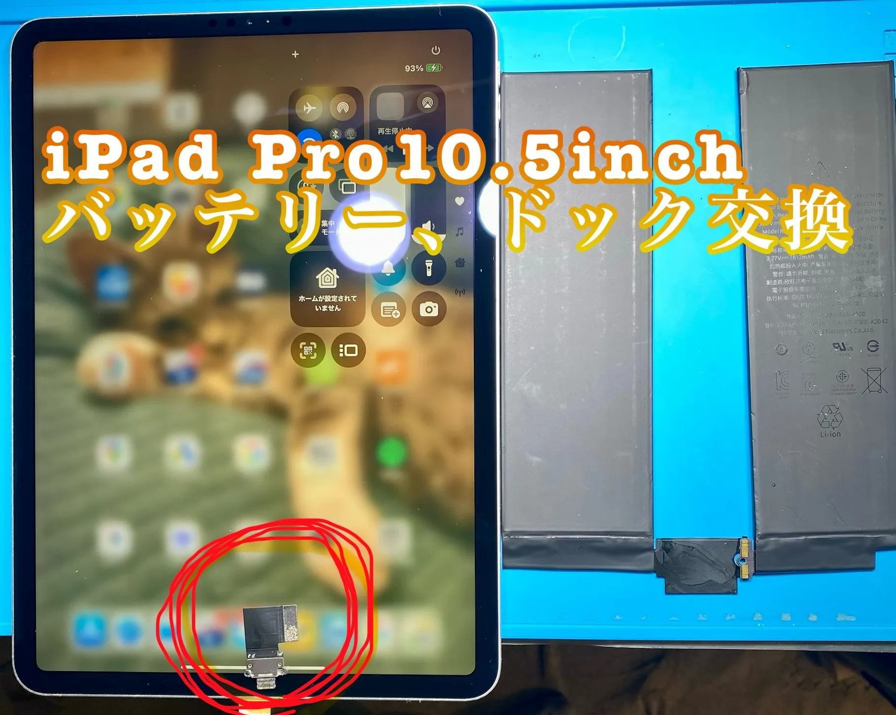 フォンドクターグループ　宮崎店、名古屋駅前店、愛知知立店、魚津店、敦賀店、大阪門真店、岐阜土岐店