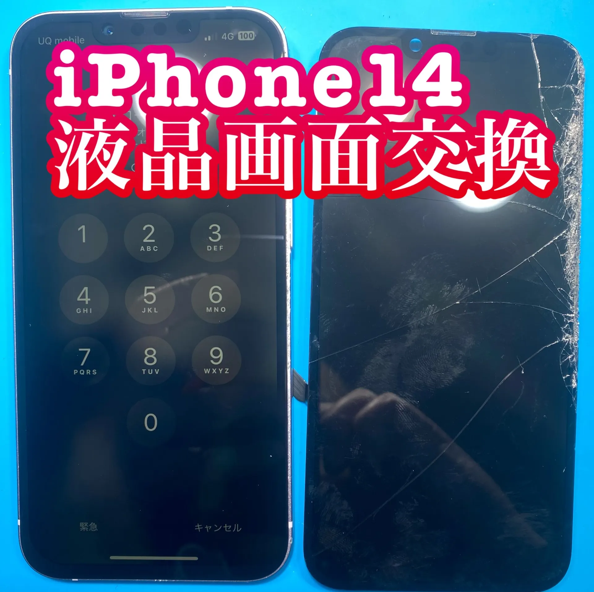 iPhone・iPad修理フォンドクターグループ　宮崎店、名古屋駅前店、愛知知立店、魚津店、敦賀店、大阪門真店、岐阜土岐店