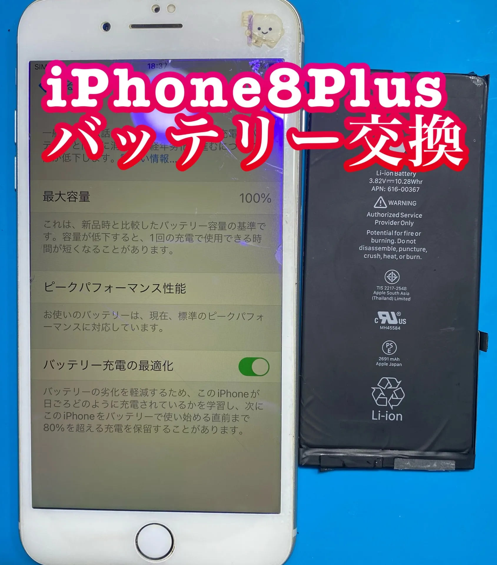 フォンドクターグループ　宮崎店、名古屋駅前店、愛知知立店、魚津店、敦賀店、大阪門真店、岐阜土岐店