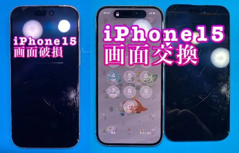 フォンドクターグループ　宮崎店、名古屋駅前店、愛知知立店、魚津店、敦賀店、大阪門真店、岐阜土岐店