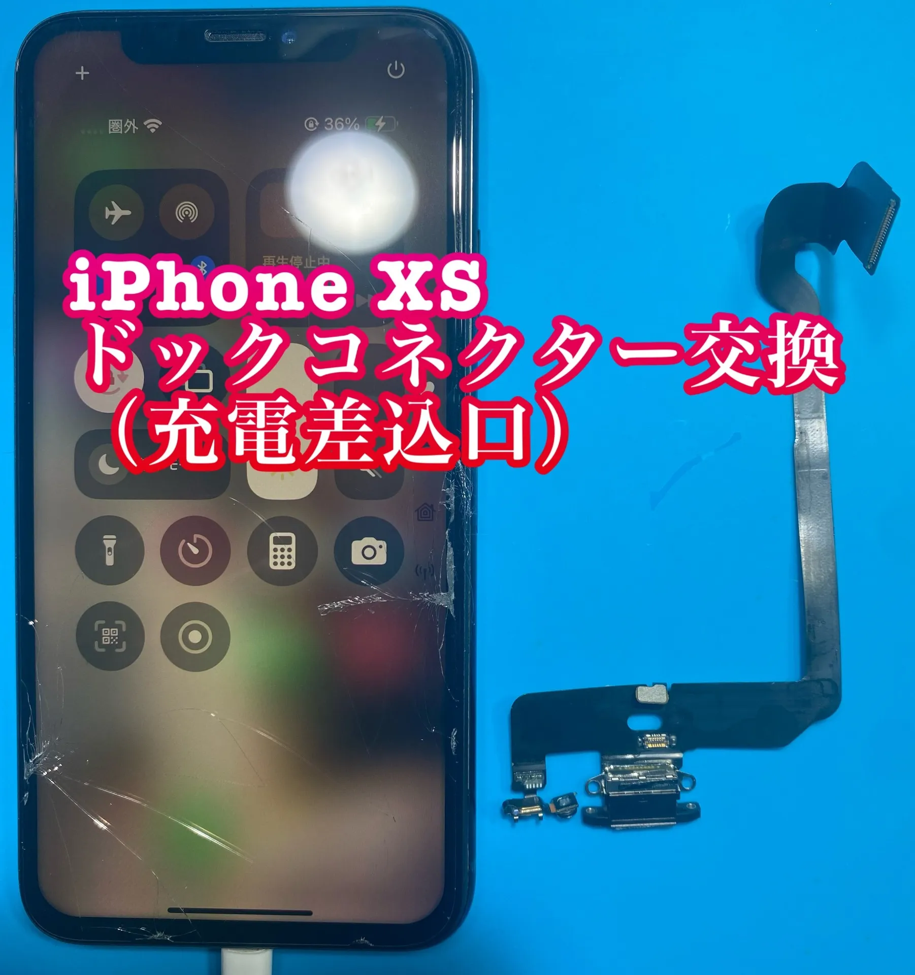 フォンドクターグループ　宮崎店、名古屋駅前店、愛知知立店、魚津店、敦賀店、大阪門真店、岐阜土岐店