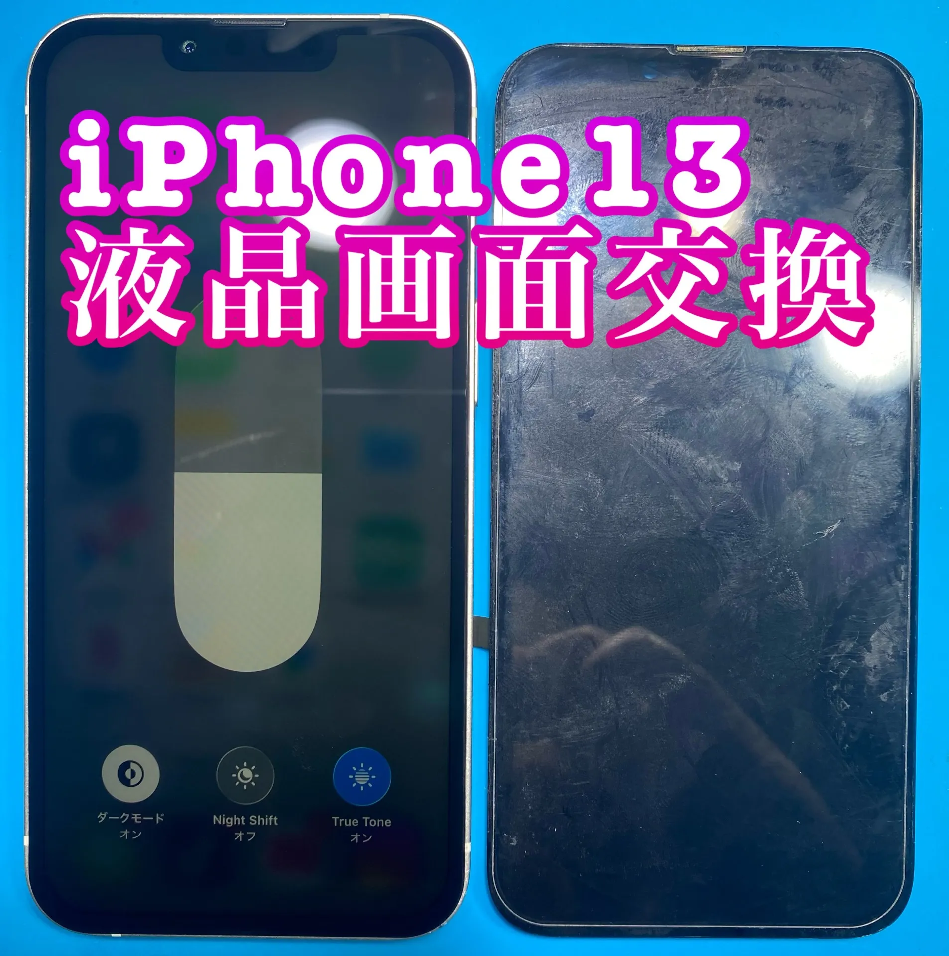 フォンドクターグループ　宮崎店、名古屋駅前店、愛知知立店、魚津店、敦賀店、大阪門真店、岐阜土岐店