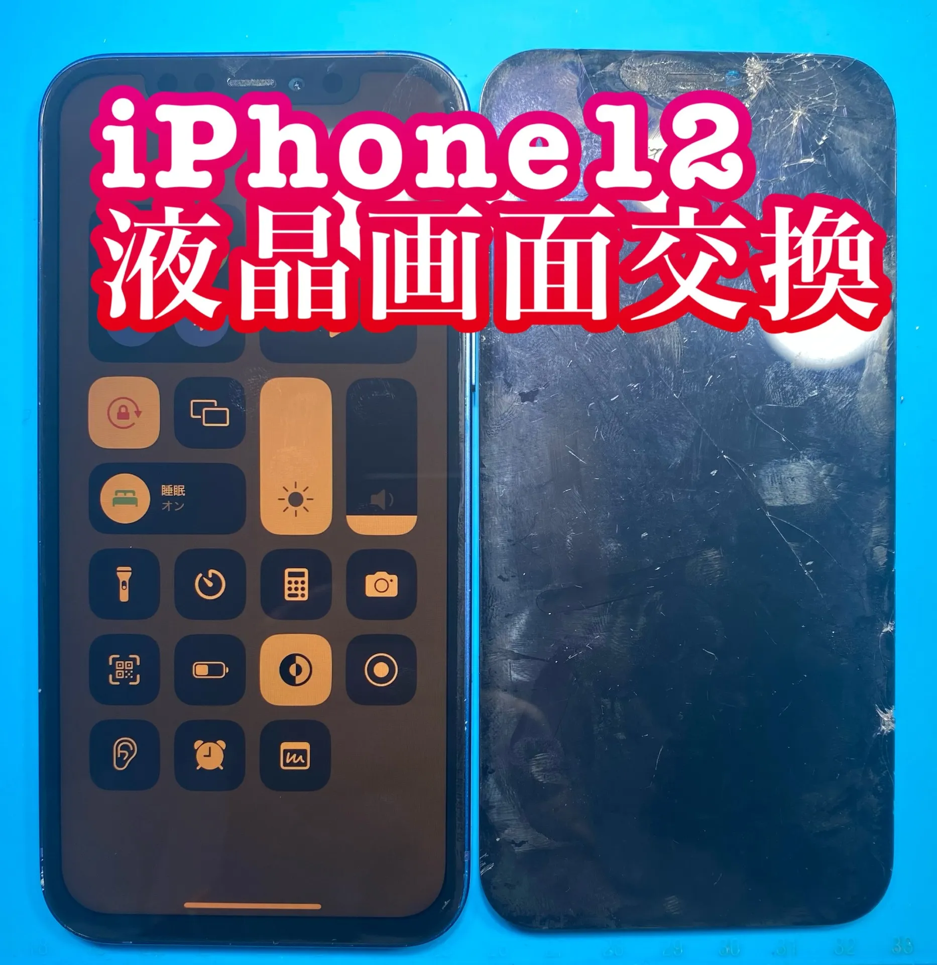 フォンドクターグループ　宮崎店、名古屋駅前店、愛知知立店、魚津店、敦賀店、大阪門真店、岐阜土岐店