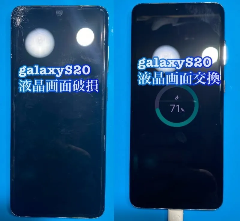 フォンドクターグループ　宮崎店、名古屋駅前店、愛知知立店、魚津店、敦賀店、大阪門真店、岐阜土岐店