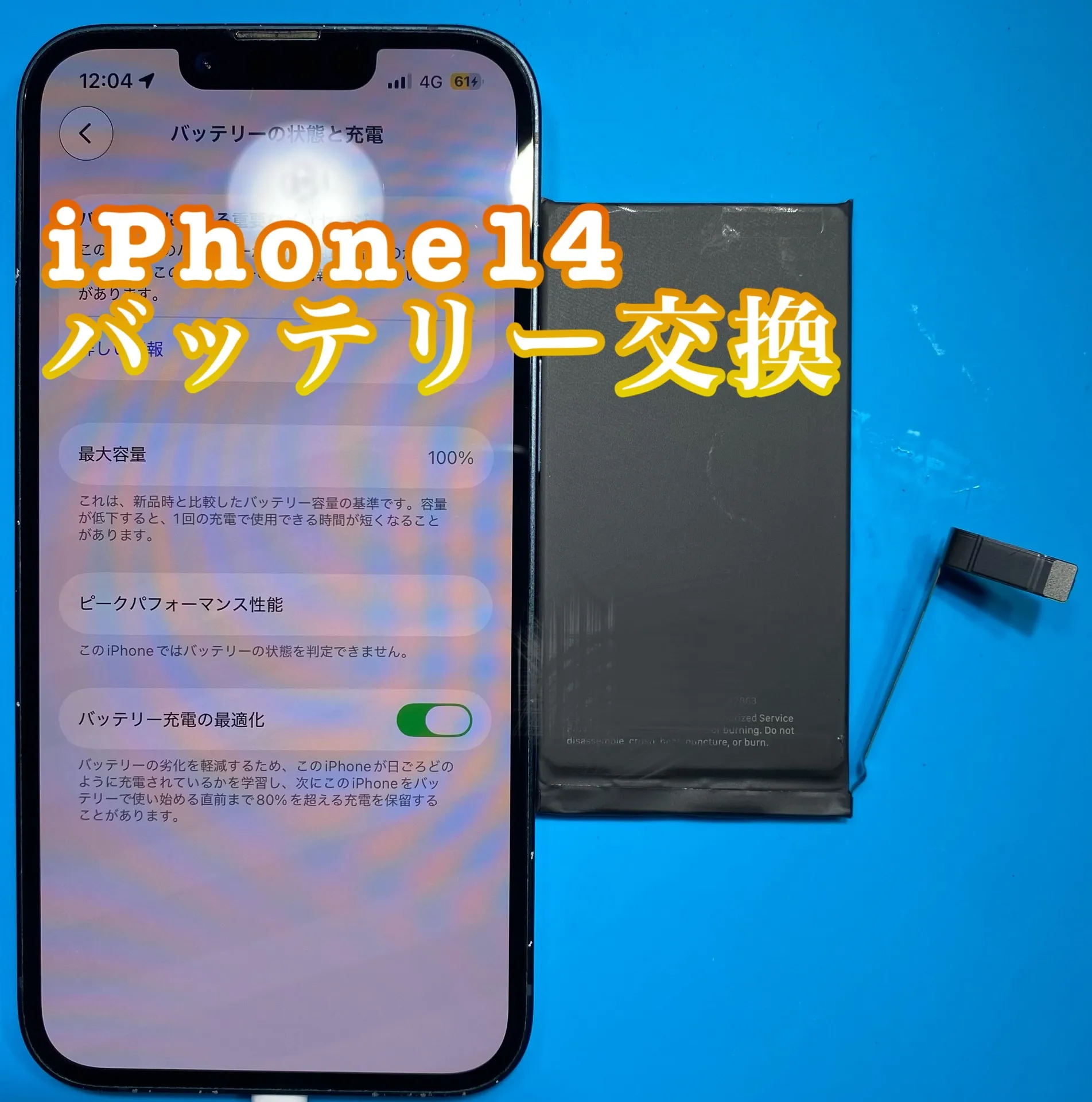 フォンドクターグループ　宮崎店、名古屋駅前店、愛知知立店、魚津店、敦賀店、大阪門真店、岐阜土岐店