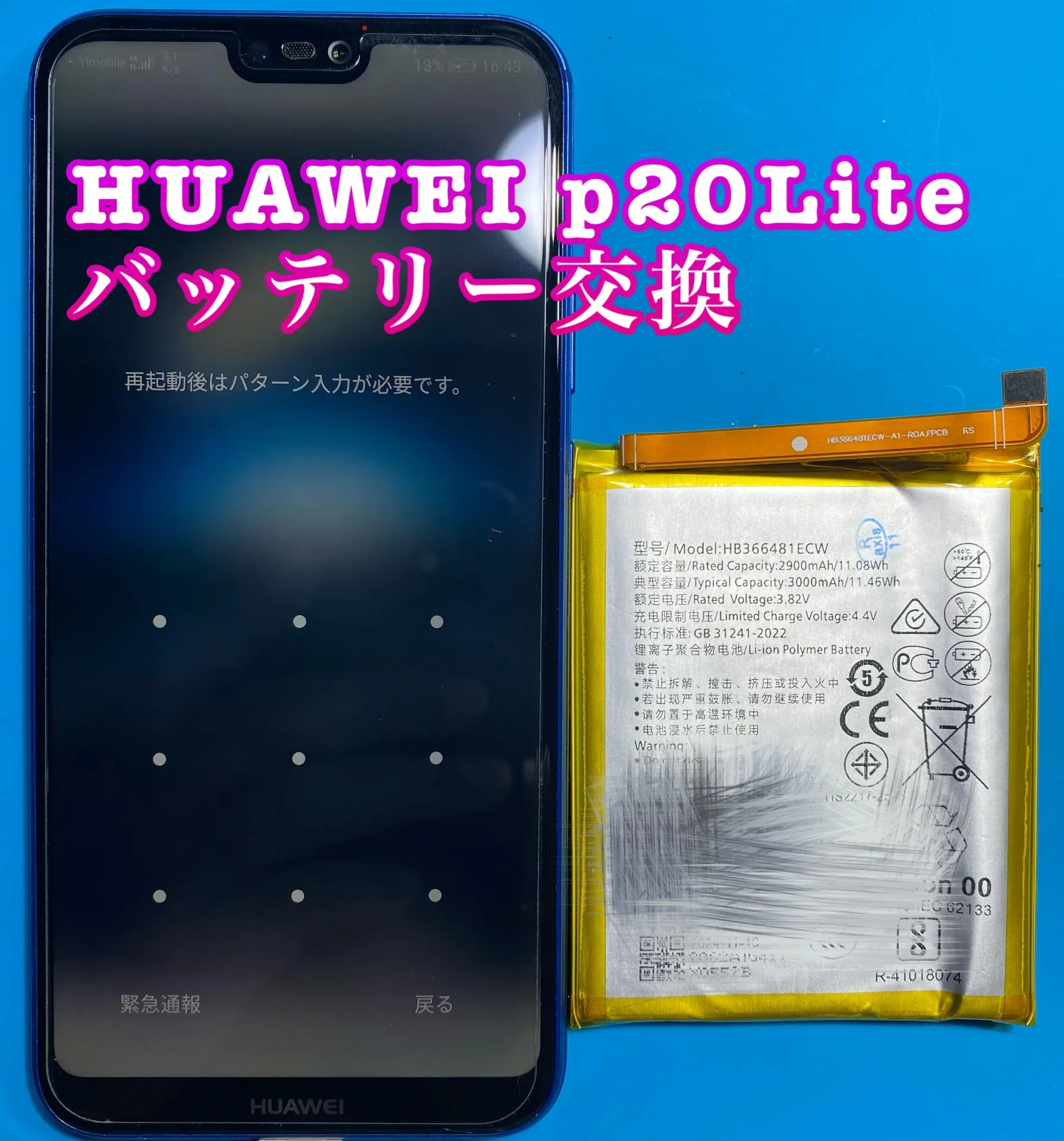 フォンドクターグループ　宮崎店、名古屋駅前店、愛知知立店、魚津店、敦賀店、都城店、岐阜土岐店