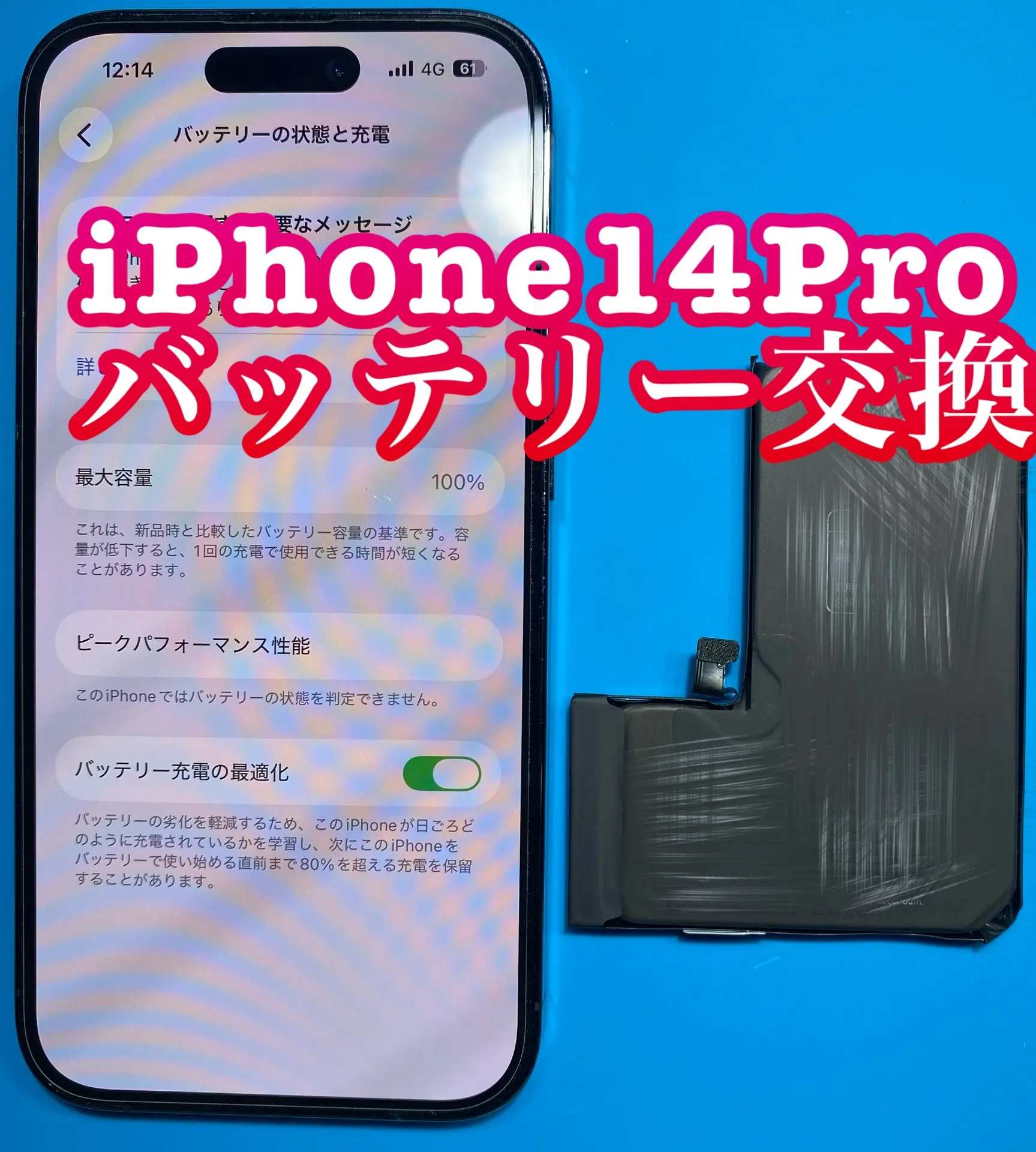 フォンドクターグループ　宮崎店、名古屋駅前店、愛知知立店、魚津店、敦賀店、都城店、岐阜土岐店