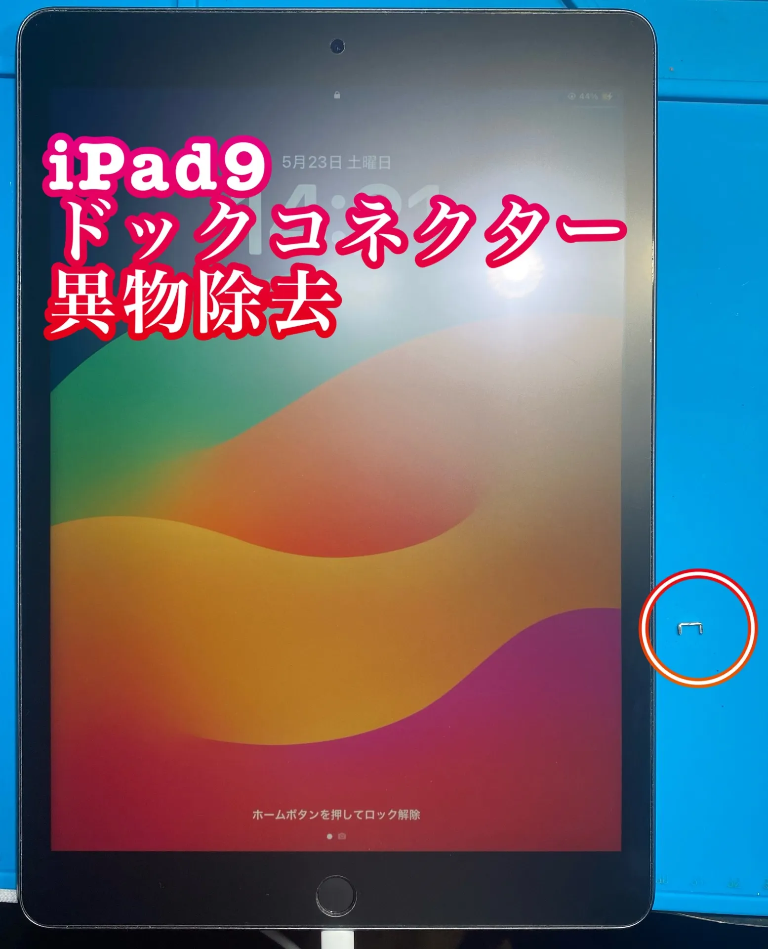 iPhone・iPad修理フォンドクターグループ 宮崎店、名古屋駅前店、愛知知立店、魚津店、敦賀店、都城店、岐阜土岐店