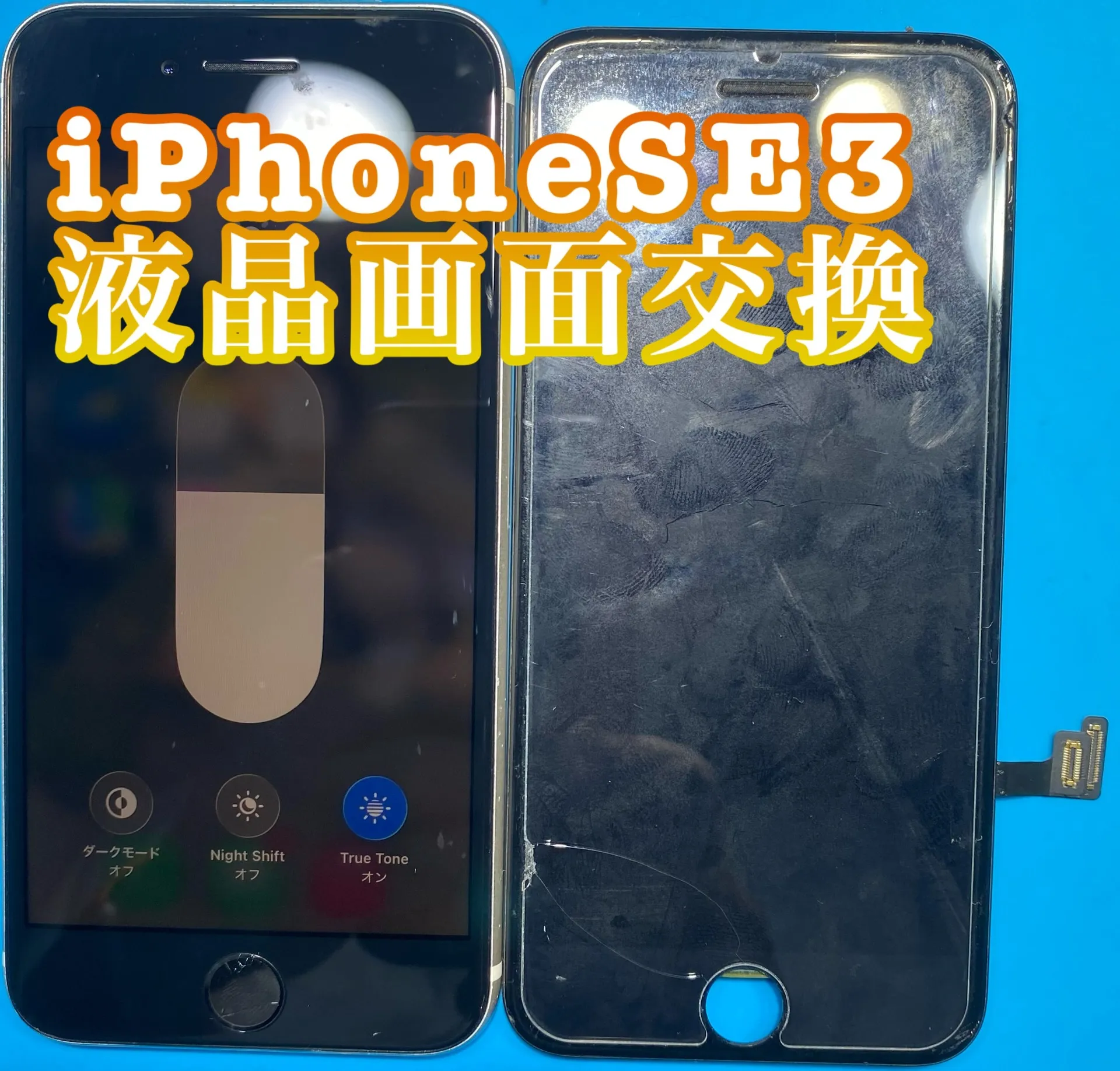 iPhone・iPad修理フォンドクターグループ 宮崎店、名古屋駅前店、愛知知立店、魚津店、敦賀店、都城店、岐阜土岐店